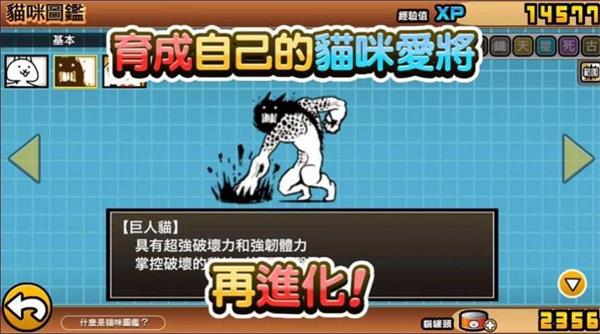 战猫
