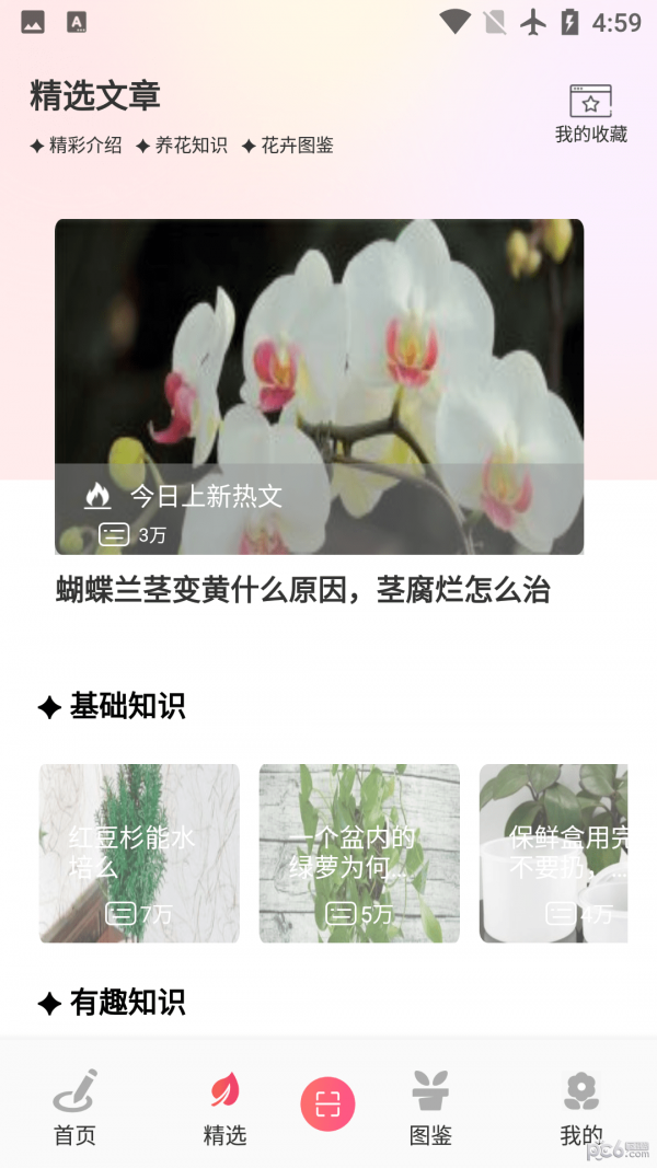 阑舒养花宝