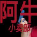 阿牛小卖部游戏下载安装