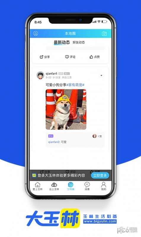 大玉林