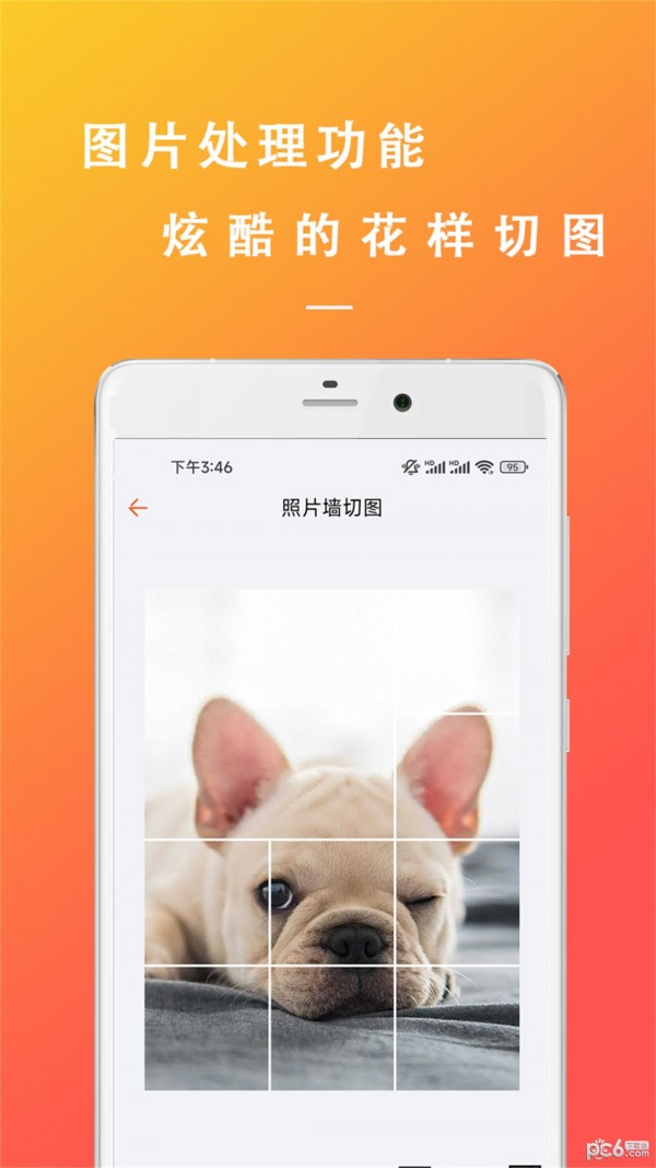 万能枝条文案控