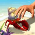 赶海日记游戏