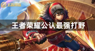 王者荣耀公认最强打野