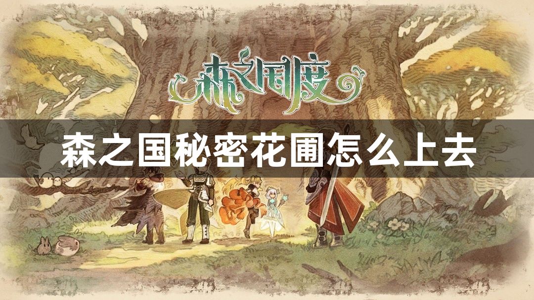 森之国秘密花圃怎么上去
