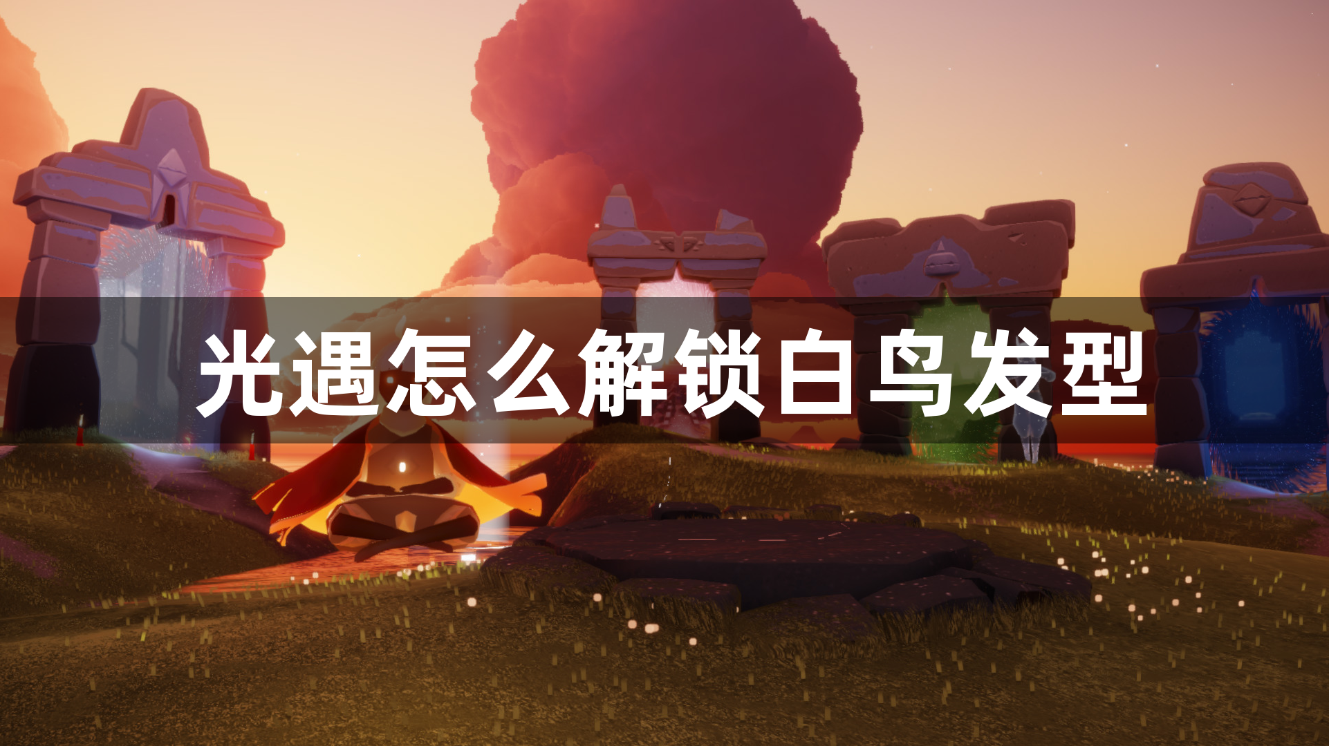 光遇怎么解锁白鸟发型