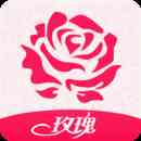 玫瑰直播免费版