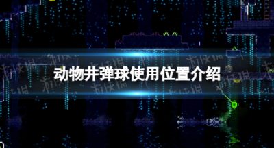 《动物井》弹球使用位置介绍