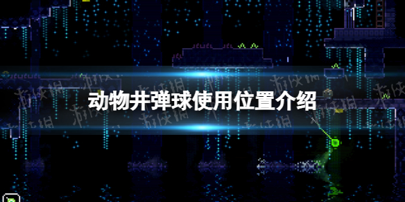 乐买吉游戏网1