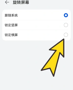 bobo浏览器无国界