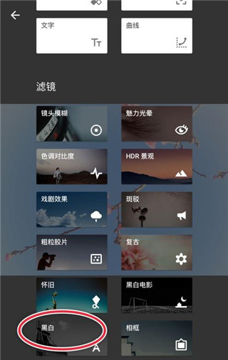 snapseed中文版下载安装