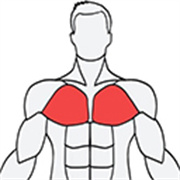 musclewiki肌肉百科 V2.6.5安卓版