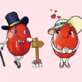 红枣影视TV版