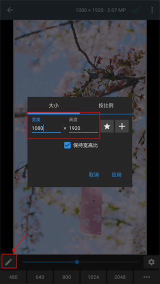 photoeditor中文版