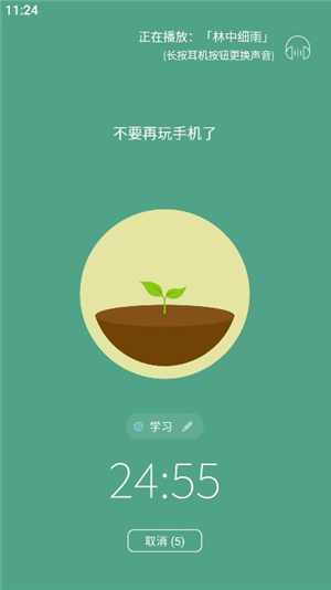 专注森林