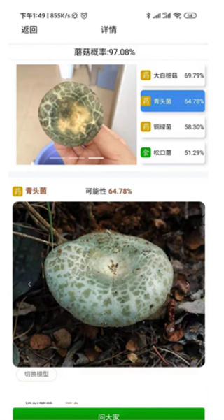 菌窝子