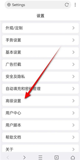 X浏览器苹果手机版