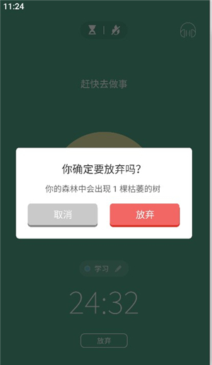专注森林