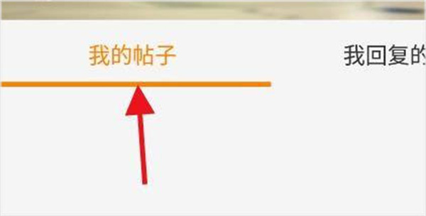 冒泡社区