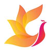 影视工场TV