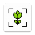 专注自律 V1.1.3安卓版