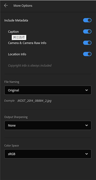 lightroom中文版