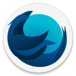 Iceraven浏览器 V2.5.0安卓版