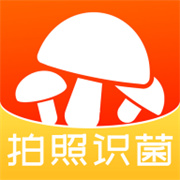 菌窝子 V3.0.37安卓版