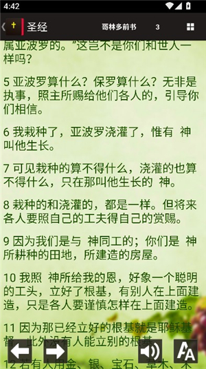 读圣经
