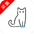 猫影视TV