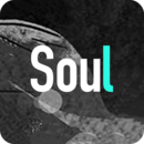 Soul V4.65.0安卓版