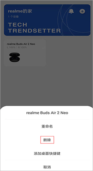 realme link