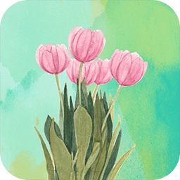 实况壁纸 V1.1安卓版
