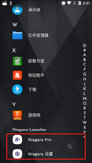 niagara launcher汉化版