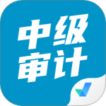 中级审计师考试聚题库
