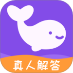 准准最新版
