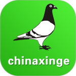 中国信鸽信息网最新版