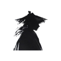 侠客日记