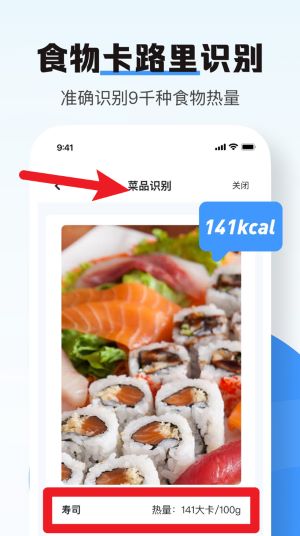 南北扫描
